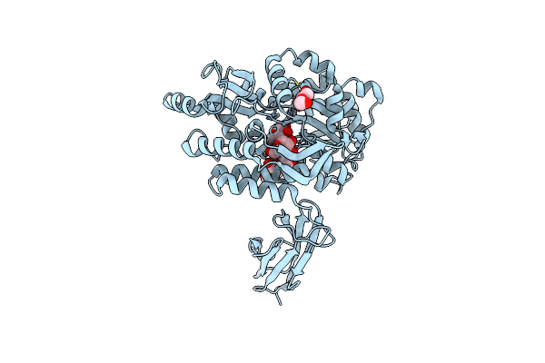 4EXK image
