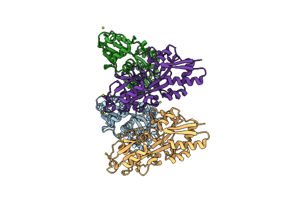 4EXL image