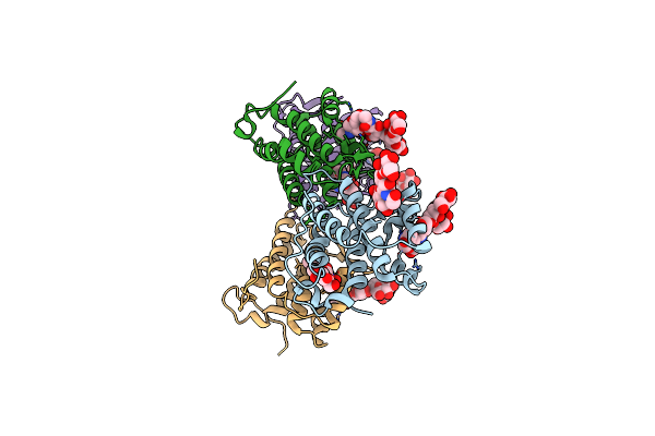 4EXN image