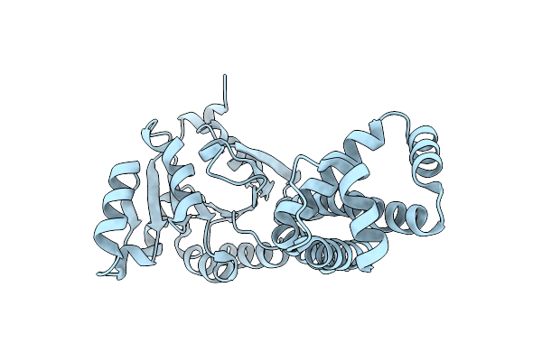 4EZB image