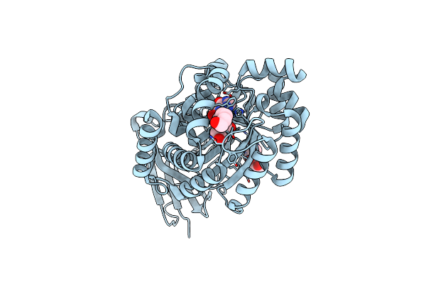 4F0S image