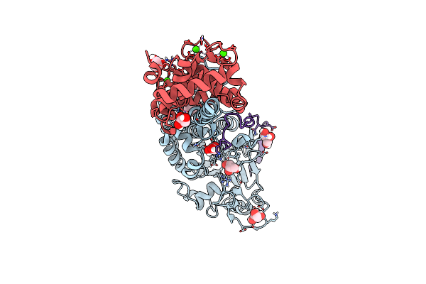 4F0Z image