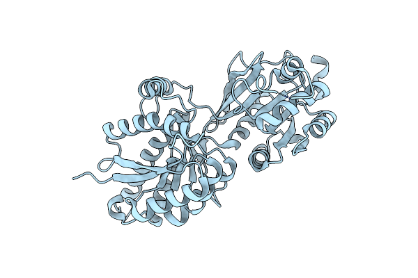 4F11 image