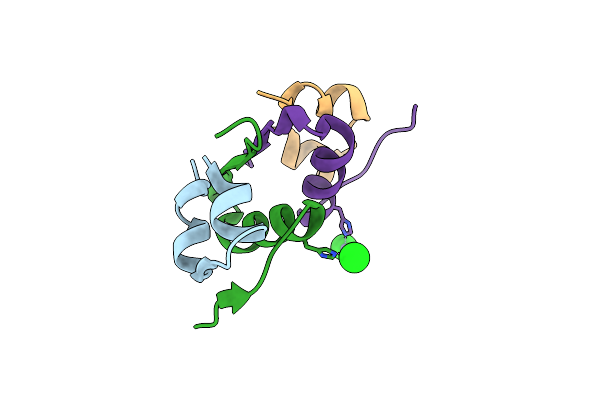 4F1B image