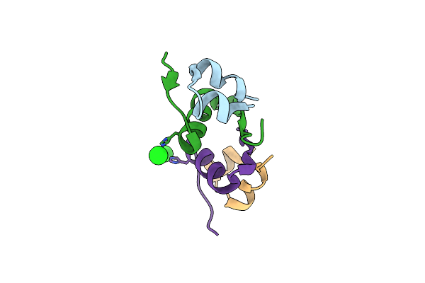 4F1F image