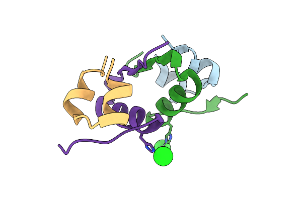 4F1G image