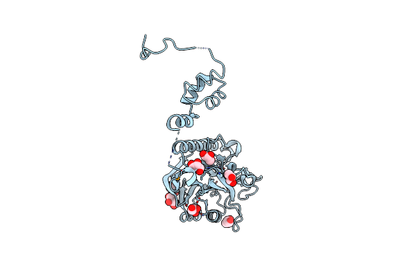 4F1I image