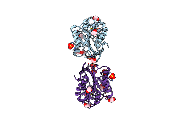4F1K image