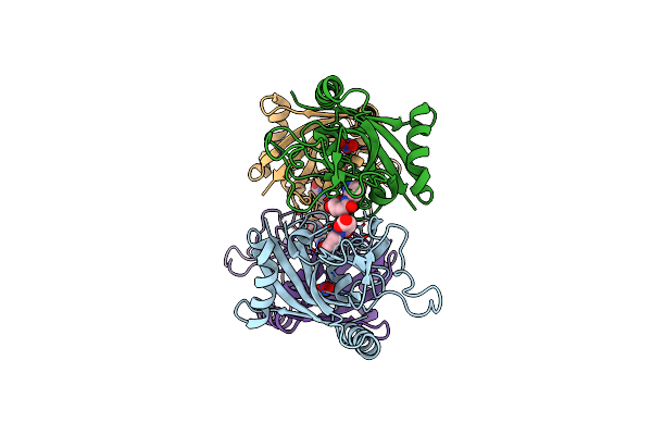 4F1L image