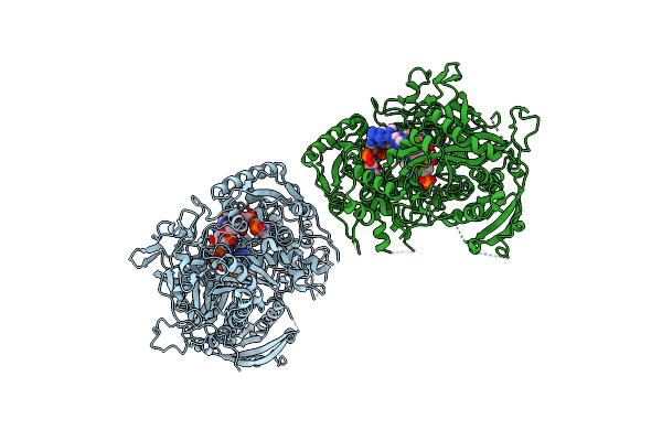 4F1N image