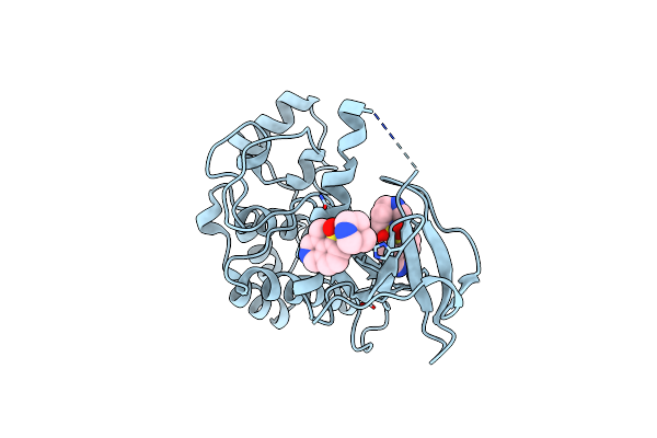 4F1T image