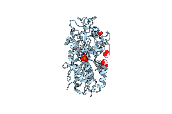 4F1U image