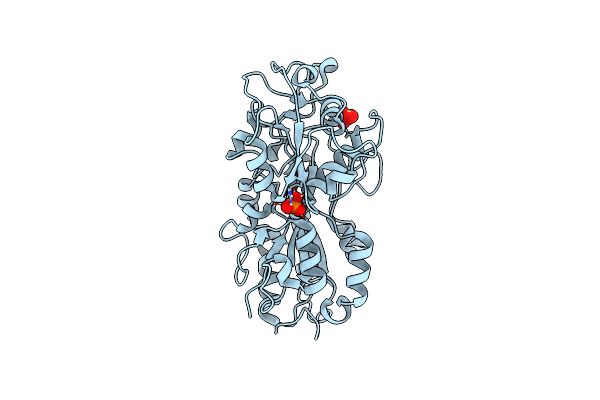 4F1V image