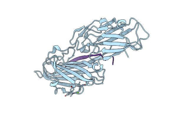 4F1Z image