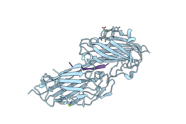 4F20 image