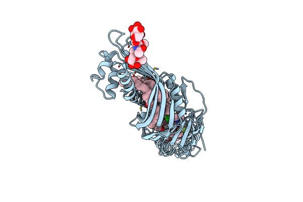4F2A image