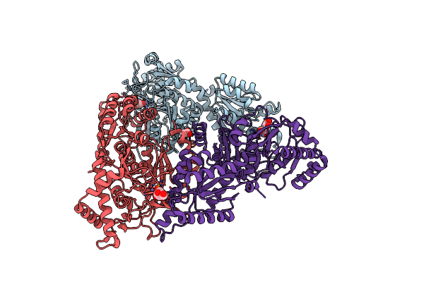 4F2D image