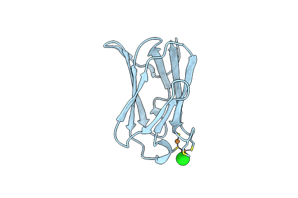 4F2E image