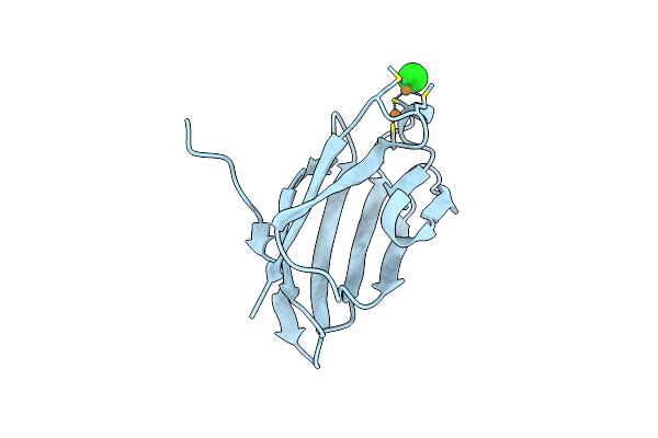 4F2F image