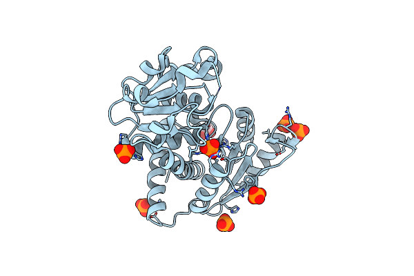 4F2G image