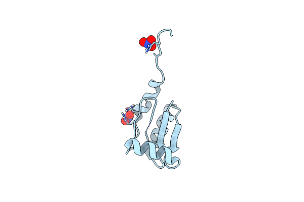 4F2I image