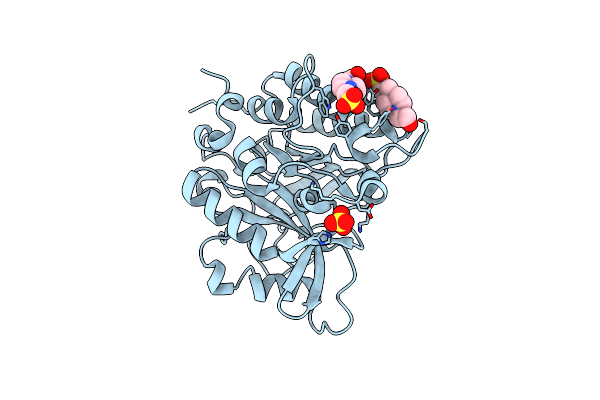 4F2U image