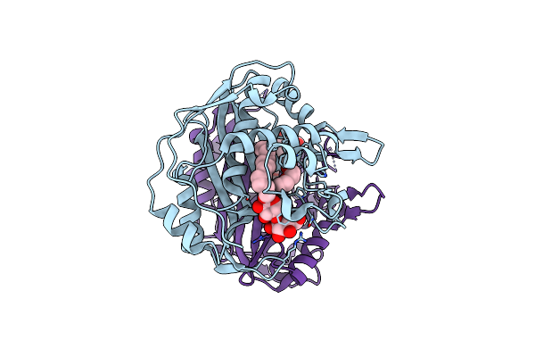 4F2V image