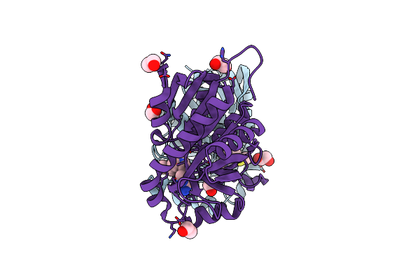 4F2W image