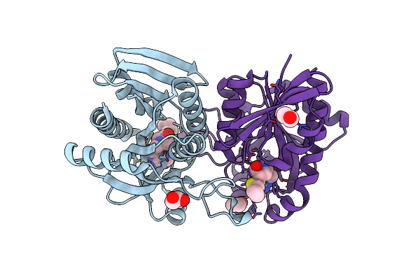4F3C image