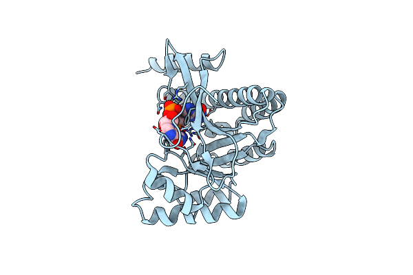 4F3H image