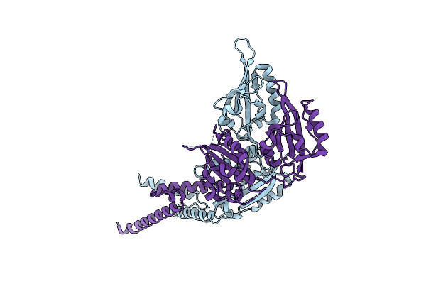 4F3L image