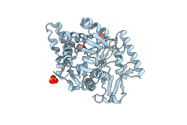 4F3N image