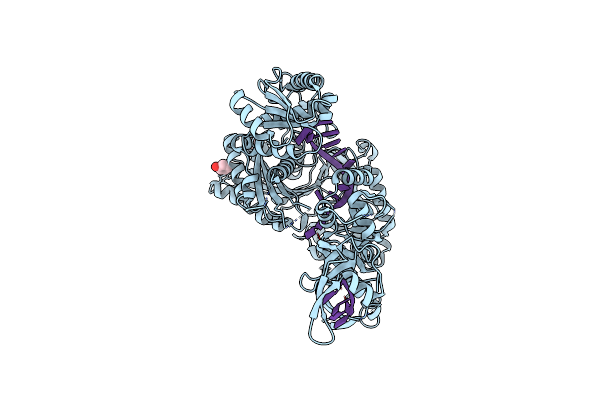 4F3T image