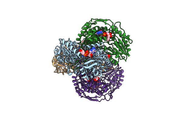 4F3X image