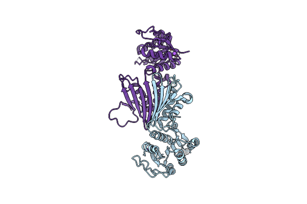 4F3Y image