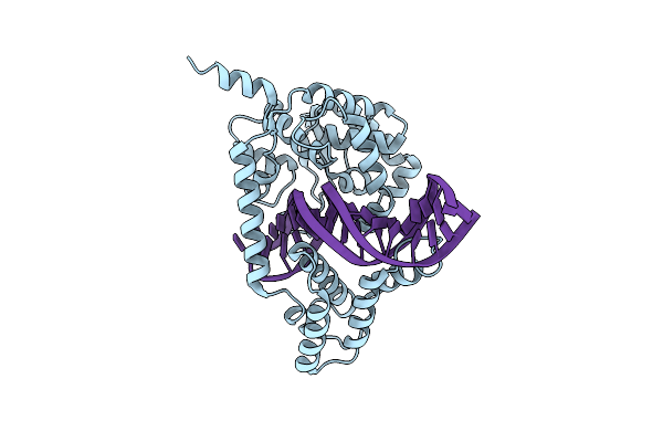 4F41 image