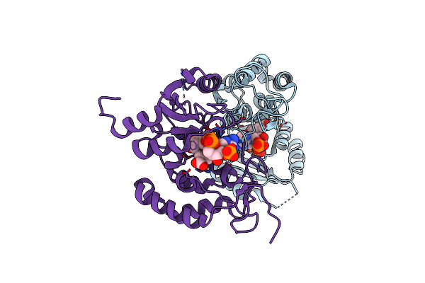 4F45 image
