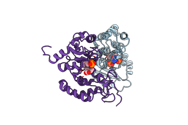 4F46 image