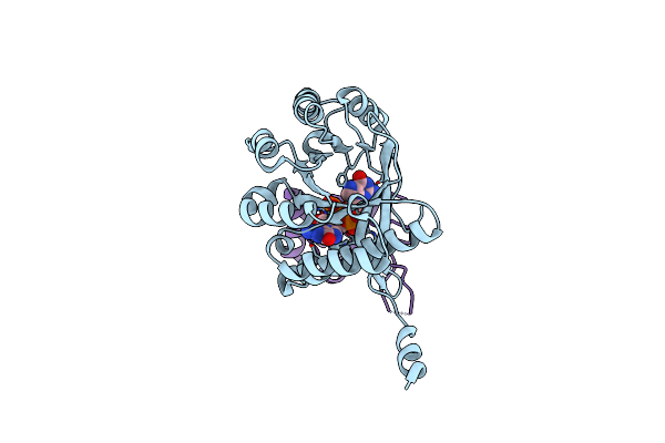 4F48 image