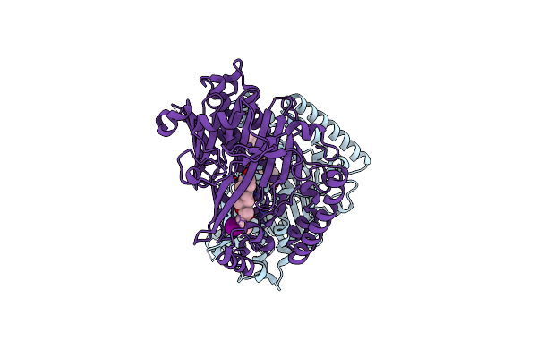 4F4B image