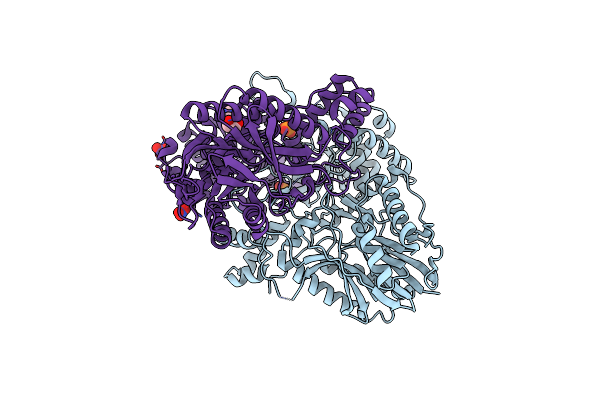 4F4H image