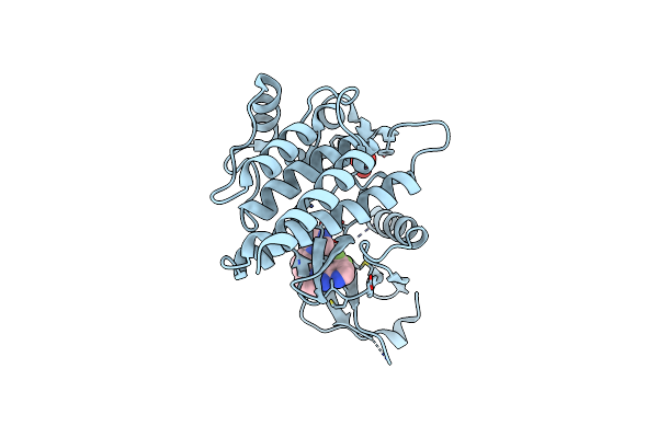 4F4P image