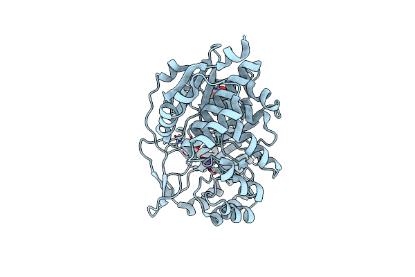 4F4R image
