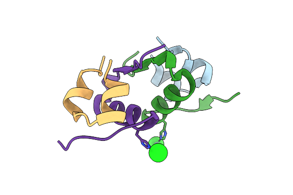 4F4V image