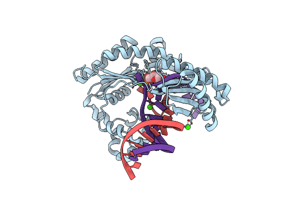 4F4X image