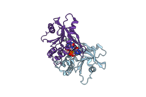 4F5D image