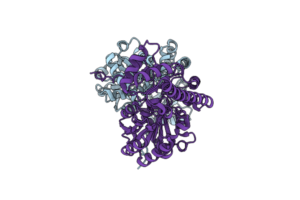 4F5G image
