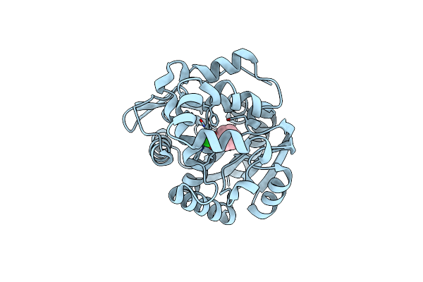 4F5Z image
