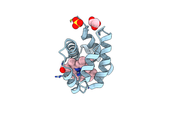 4F6G image