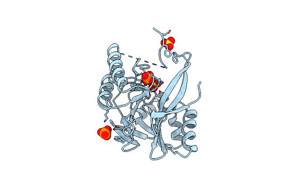 4F6H image